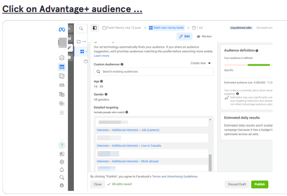 Choose Advantage+ audience